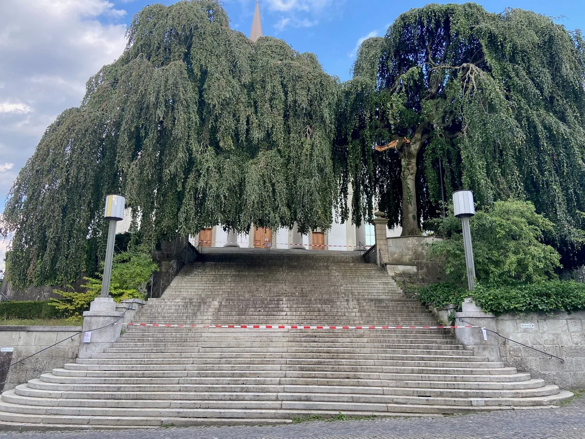 Die Treppe zur reformierten Kirche ist abgesperrt, man sieht die Treppe und die Hängebuchen.